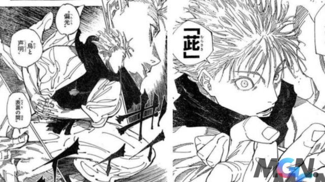 Jujutsu Kaisen Chap 224: Những điều Có Thể Xuất Hiện Trong Spoiler Sắp ...