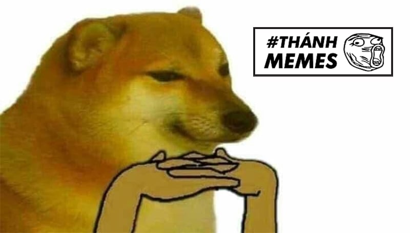 Meme Cheems  Hình Tượng Chú Chó Shiba Được Cả Thế Giới Săn Lùng