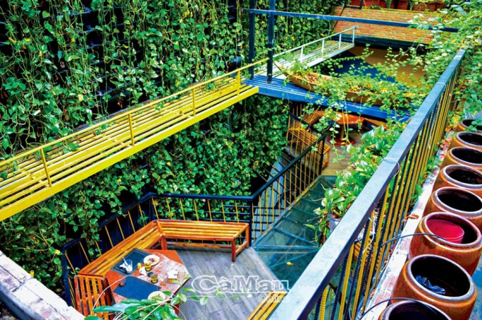 images2365072_1
