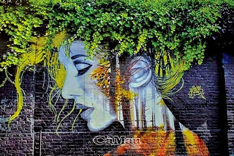 images2365076_5