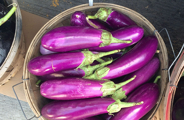 eggplant-japanese-56a5b50d5f9b58b7d0de0d51