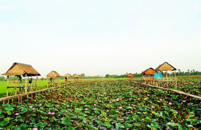Ghe-tham-dia-danh-du-lich-noi-tieng-bac-nhat-dong-bang-song-Cuu-Long_11
