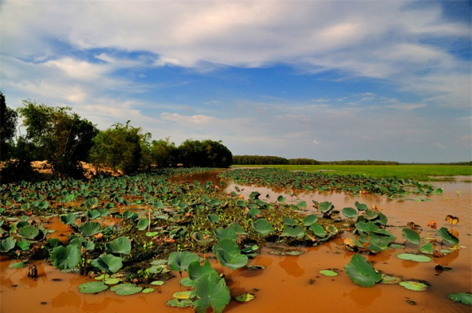 Ghe-tham-dia-danh-du-lich-noi-tieng-bac-nhat-dong-bang-song-Cuu-Long_2