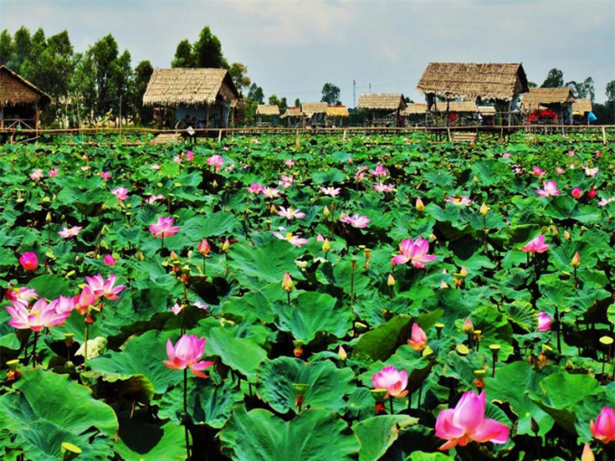 Ghe-tham-dia-danh-du-lich-noi-tieng-bac-nhat-dong-bang-song-Cuu-Long_7