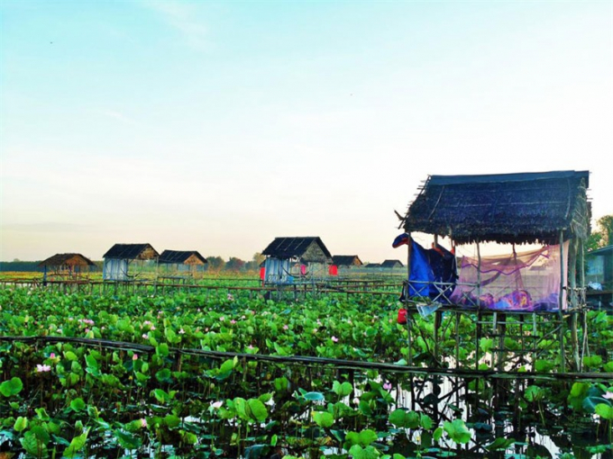 Ghe-tham-dia-danh-du-lich-noi-tieng-bac-nhat-dong-bang-song-Cuu-Long_9