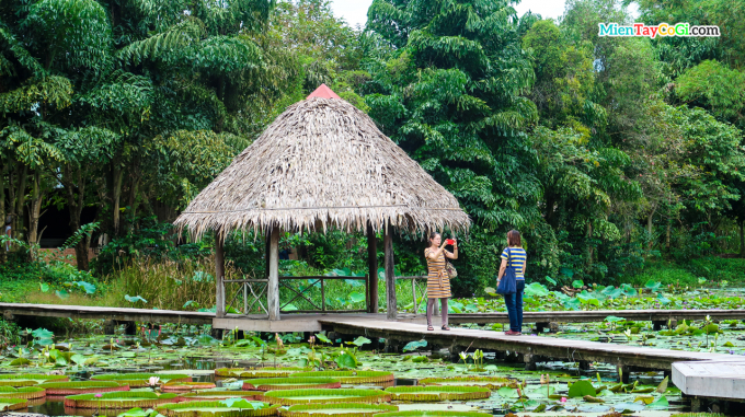 khách-du-lịch-khám-phá-xẻo-quýt