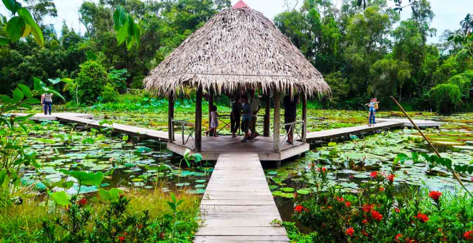 Môi trường tinh khiết, được hít thở không khí trong lành của một không gian yên tĩnh, thơ mộng… Ảnh ST