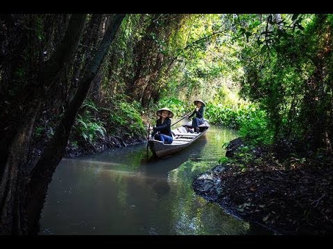 Du khách trải nghiệm ngồi trên chiếc xuồng ba lá len lỏi theo các kênh rạch. Ảnh ST