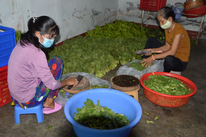 Những cộng sự của cô Thu Vân đang chuẩn bị rau cho bữa cơm.