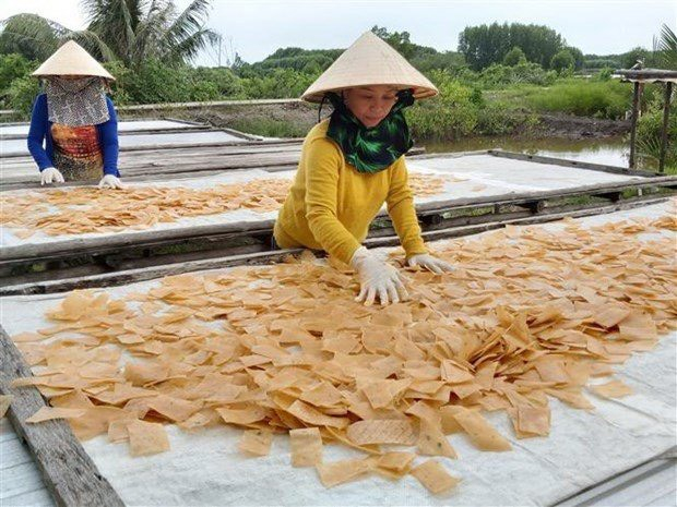 Cơ sở sản xuất bánh phồng tôm Kim Tiền phơi bánh phồng tôm sau khi cắt nhỏ. (Ảnh: Hồng Nhung/TTXVN)