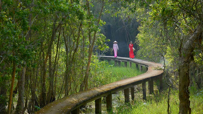 Thiên nhiên nơi này nổi bật với rừng tràm cổ thụ, các đầm sen, hồ súng cùng hàng trăm loài chim cá và các loài lưỡng cư đặc hữu tạo nên hệ sinh thái đa dạng phong phú. Ảnh Bongtrip