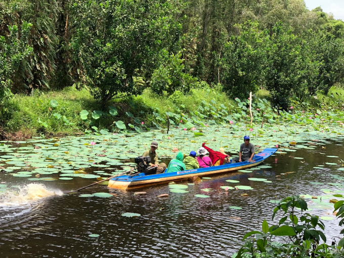 Sông Trẹm chia Rừng U Minh thành hai vùng thượng và hạ. U Minh Hạ thuộc tỉnh Cà Mau, U Minh Thượng thuộc tỉnh Kiên Giang. Ảnh thamhiemmekong.