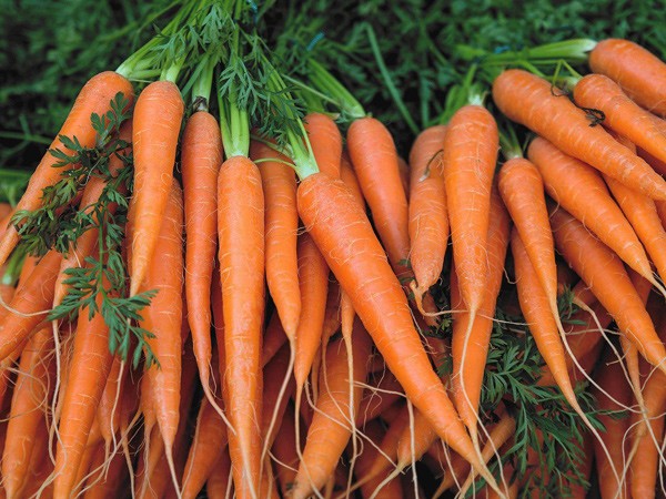 Cà rốt có Vitamin A - rất tốt cho mắt. Ảnh: Eva.