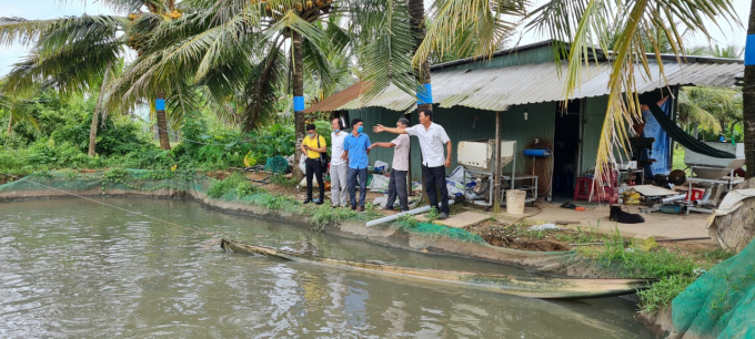 Nông dân nuôi cá tại Trà Vinh đang trông chờ vào Công an với hy vọng nhận lại tiền bán cá, trả nợ ngân hàng, tiền mua thức ăn, tái đầu tư sau những vụ mùa thất bát.