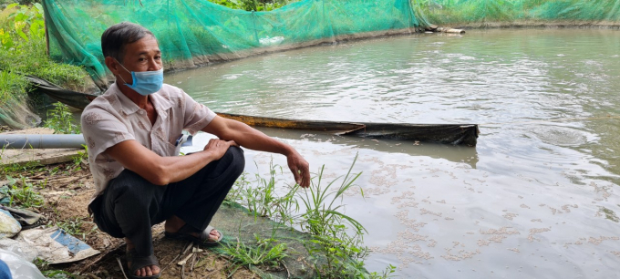 Ông Lý Văn Tiến người nông dân nuôi cá lóc bán cho thương lái Kim Sang 14 tấn cá lóc, nhưng chỉ nhận được 40 triệu đồng, giờ nghẹn ngào trong nợ nần.