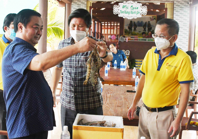 Bộ trưởng Bộ Nông nghiệp và Phát triển nông thôn Lê Minh Hoan (bìa trái) tìm hiểu tình hình hoạt động của mô hình kinh tế tập thể kiểu mới tại Hội quán tôm – rừng Rạch Gốc.