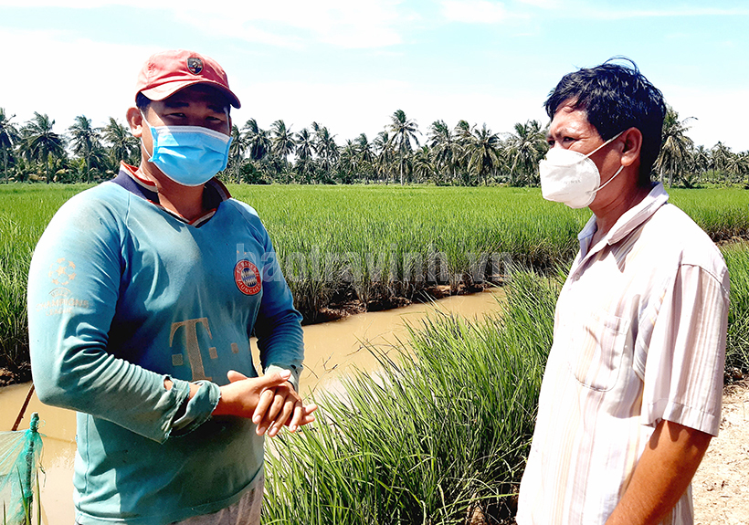 Nông dân Trì Chí Khang (trái) trao đổi về mô hình lúa - tôm càng xanh được Hội Nông dân tỉnh đầu tư.