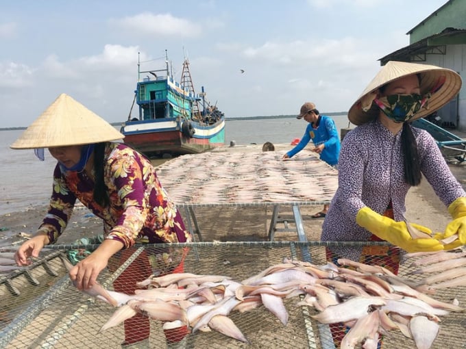 Bảo quản thực phẩm bằng phương pháp sấy khô để tăng thời hạn sử dụng, đồng thời giữ được hương vị thơm ngon cho thực phẩm. Ảnh: Internet.