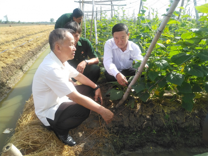 Hội CCB tỉnh tham quan mô hình trồng trọt của hội viên xã Trường Khánh.