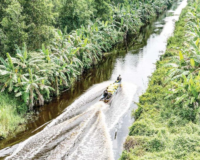 Bà con chở nông sản đi tiêu thụ.