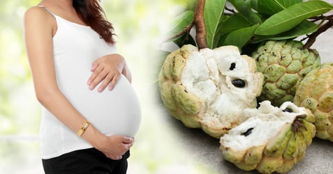 Mãng cầu có rất nhiều dưỡng chất đặc biệt tốt cho sức khỏe bà bầu 3 tháng đầu. Ảnh: Internet.