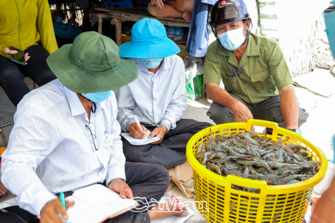 Nuôi tôm thâm canh và siêu thâm canh ở những nơi có điều kiện, gắn với quy hoạch là giải pháp quan trọng để đạt sản lượng 4.200 tấn thuỷ sản trong năm 2021.