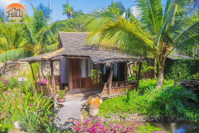 Điểm đáng tự hào của Hieu’s Cottage là khuôn viên ở nơi đây có hệ sinh thái cây xanh bao phủ luôn tạo ra một không gian trong lành, mát mẻ cho mỗi du khách cảm giác gần gũi với thiên nhiên.