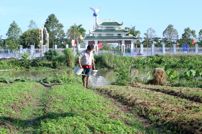 Chăm sóc rau màu phục vụ Tết Nguyên đán.