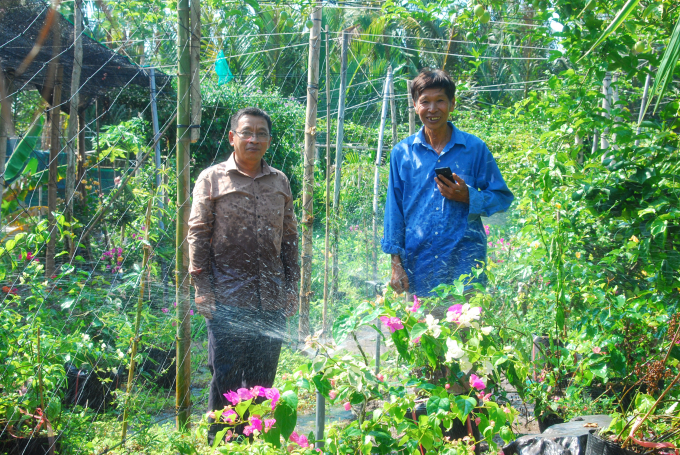 Nông dân sử dụng điện thoại để điều khiển tưới nước cho vườn cây ăn trái.