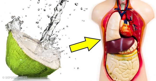Nước dừa tươi tốt cho sức khỏe và hệ tiêu hóa (Ảnh:st)