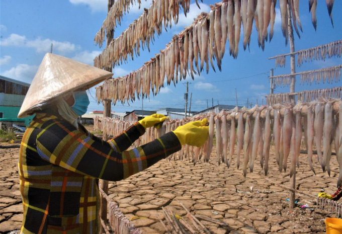 Tết năm nay, sản lượng đánh bắt sụt giảm khiến mặt hàng cá khô khoai khan hiếm trên thị trường.