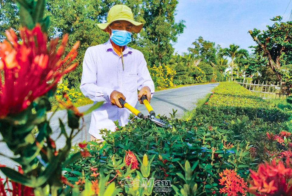 Hầu hết các tuyến đường trên địa bàn xã Tân Thành được xây dựng và quản lý đúng quy hoạch. Nhân dân tự ý thức trồng, chăm sóc hoa kiểng, cây xanh đảm bảo môi trường xanh - sạch - đẹp.