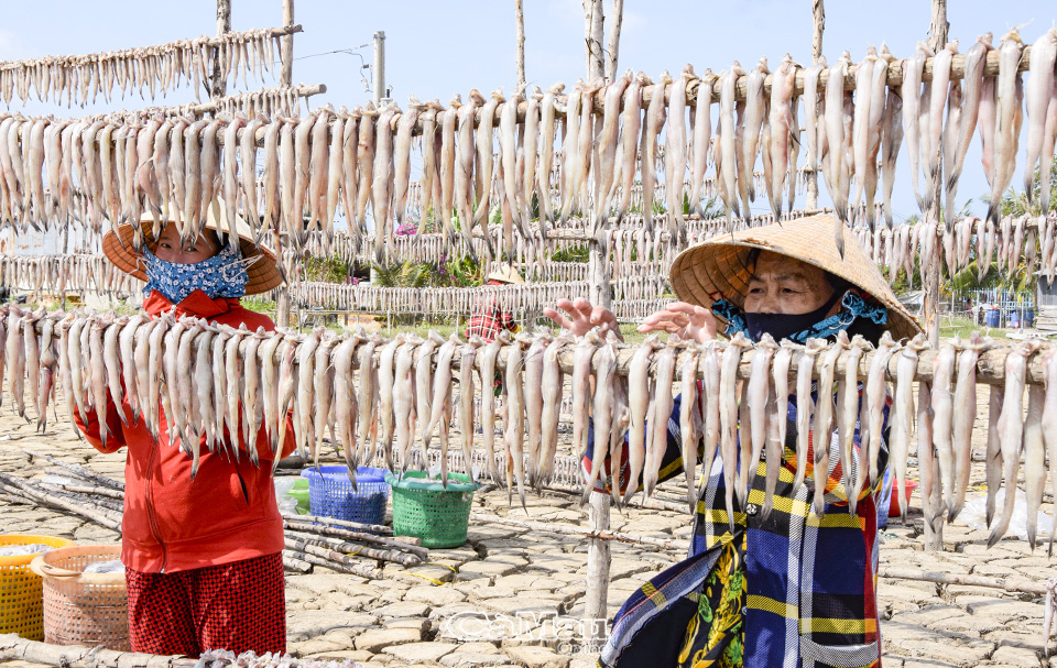 Tranh thủ có nguồn hàng, nhiều lao động tập trung phơi cá.