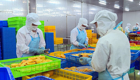 Công nghiệp chế biến nông sản ở Hậu Giang đang phát triển mạnh.