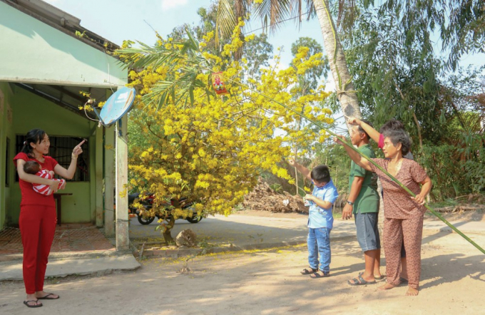 Nhiều cặp đôi chọn về quê đón Tết, sum họp bên gia đình nội ngoại. Trong ảnh: Gia đình dựng nêu ăn Tết. Ảnh: ĐĂNG HUỲNH