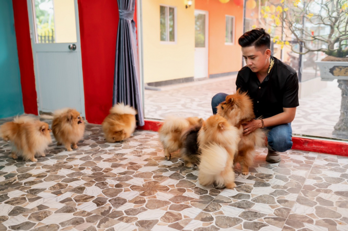 Những lúc rãnh rỗi anh Nguyễn Hoàng Khang dành thời gian chơi đùa bên những chú chó đáng yêu. Gía trị mỗi con Pom ở đây dao động khoảng vài chục triệu đồng một con và cao hơn gấp nhiều lần nếu là giống chó đẹp.