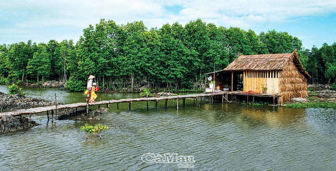 Nhà sàn của người dân Đất Mũi, Cà Mau. Ảnh: HUỲNH LÂM