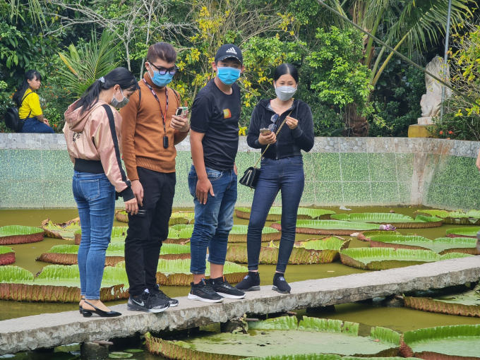 Khách tham quan tỏ ra thích thú với những Lá Sen có hình dáng độc lạ này. Ảnh: Lê Nguyên