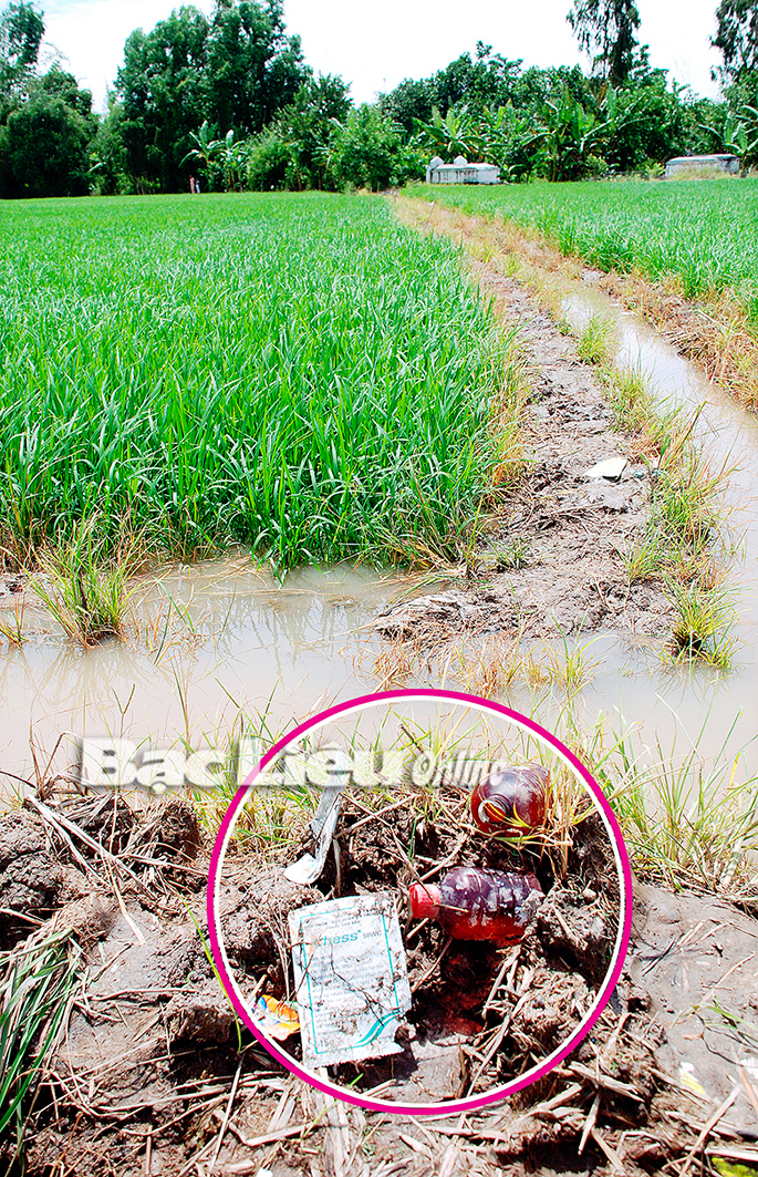 Bao bì và chai lọ đựng thuốc bảo vệ thực vật sau khi sử dụng bị vứt ngay trên đồng ruộng.