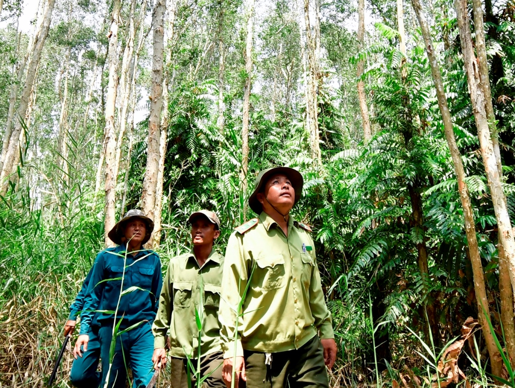Tuần tra kiểm soát PCCCR ở Vườn quốc gia U Minh Hạ