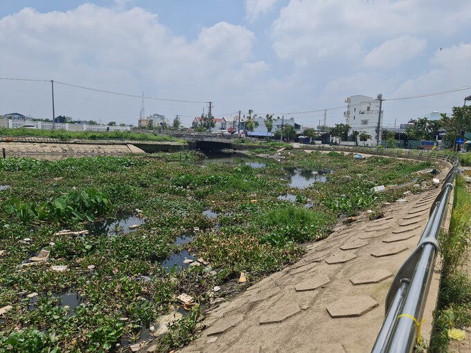Hồ Bún Xáng đang ô nhiễm nặng bởi rác thải được vứt xuống lòng hồ. Ảnh: Lê Nguyên.