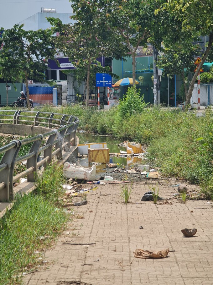 Cỏ mọc đầy trên bờ hồ cùng rác nhưng không cơ quan nào để ý dọn dẹp. Ảnh: Lê Nguyên.