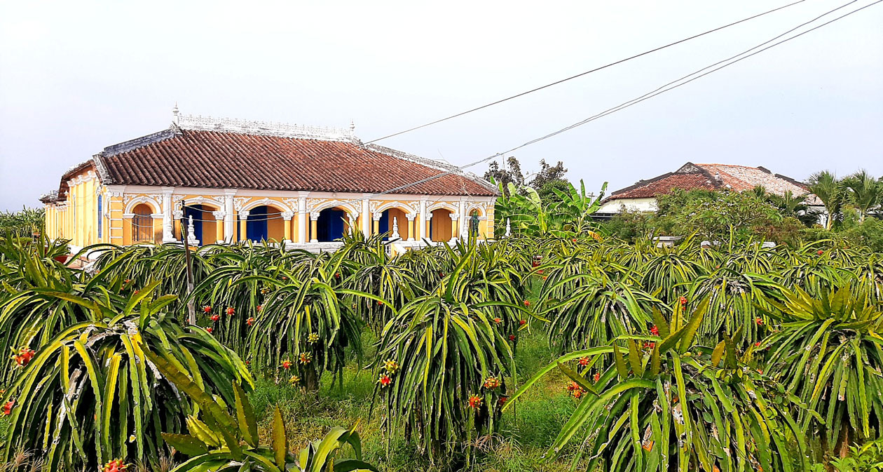 Đặc trưng vùng đất Long An hòa chung ngôi nhà cổ (Ảnh: minh họa)