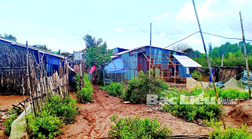 Những căn nhà tạm bợ trong rừng phòng hộ huyện Hòa Bình. Ảnh: T.Q