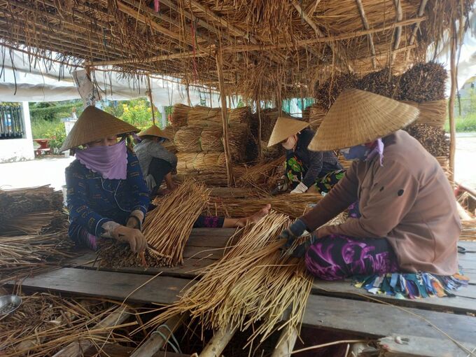 Cơ sở thu mua năn tượng của hộ gia đình anh Phạm Văn Ghép giúp tạo việc làm và thu nhập cho nhiều người khó khăn trong vùng.