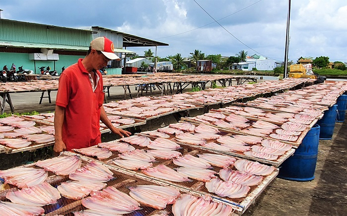 Các công ty, doanh nghiệp, cơ sở sản xuất cần chung tay bảo vệ môi trường. Ảnh: camaugov.