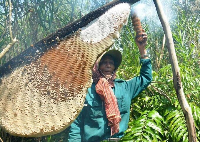 Ông Út Nhì có gần 50 năm gắn bó với nghề gác kèo ong.