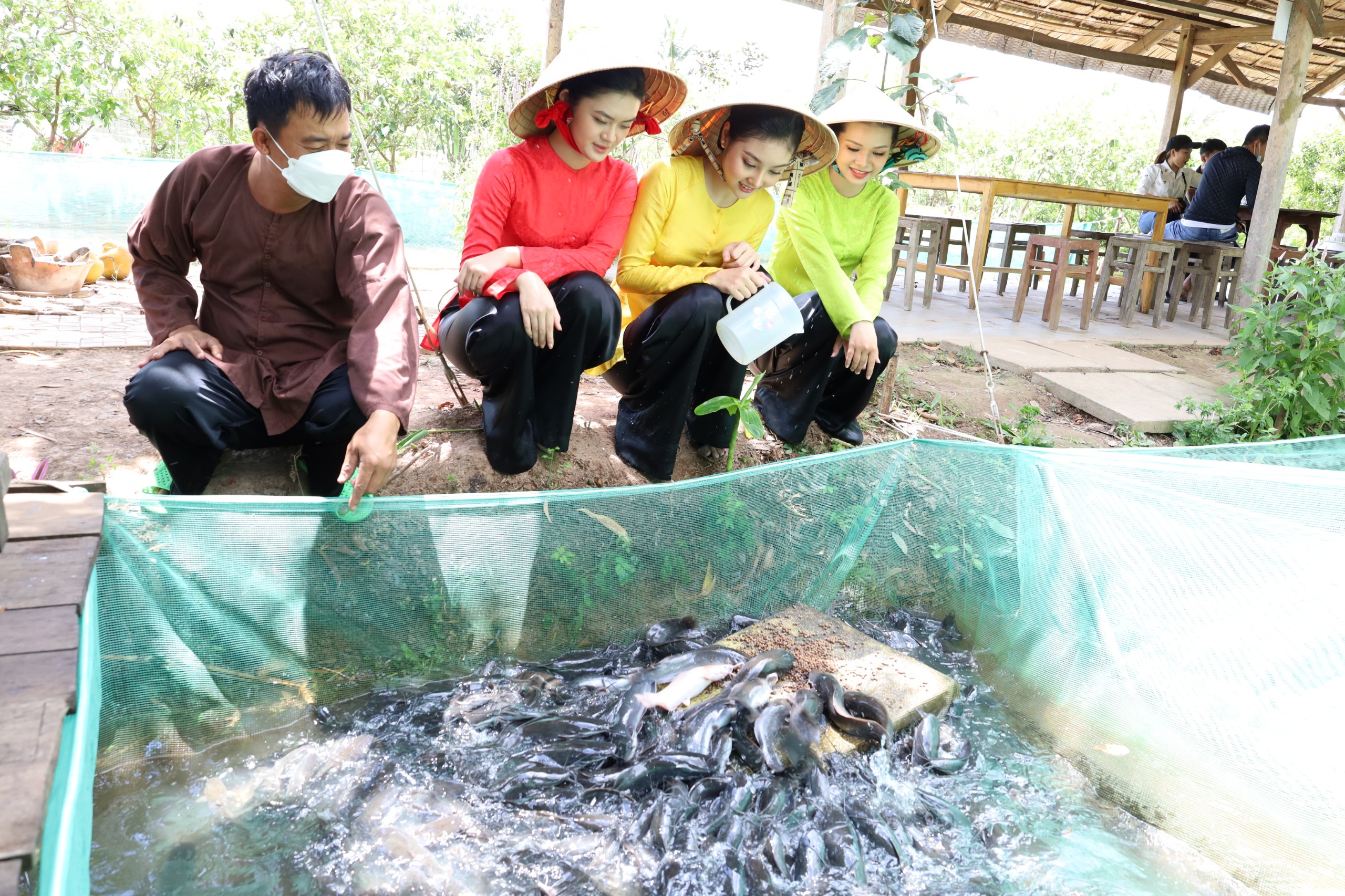 Cá mát xa và cá Trê vượt cạn ăn mồi là 2 sản phẩm thu hút khách du lịch khi đến với Du lịch cộng đồng Cồn Sơn.