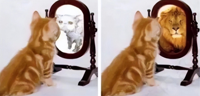 Con mèo bên trái luôn cảm thấy yếu ớt nên nhìn vào gương sẽ thấy mình một con mèo ốm. Con mèo bên phải muốn trở nên mạnh mẽ như một con sư tử nên những gì nó nhìn thấy trong gương là một con sư tử.