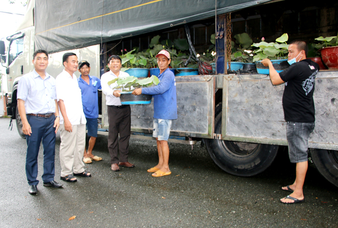 Lãnh đạo Sở Nông nghiệp và Phát triển nông thôn tiếp nhận Sen. Ảnh: dongthapgov.